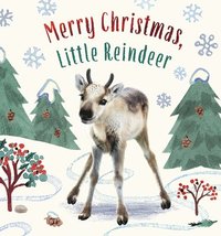 bokomslag Merry Christmas, Little Reindeer