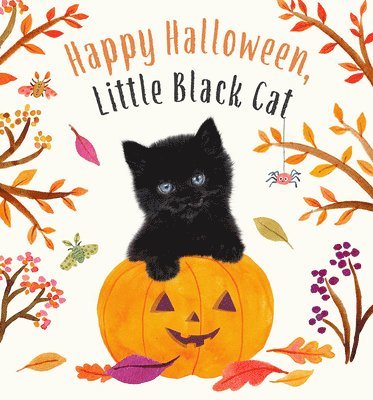 Happy Halloween, Little Black Cat 1
