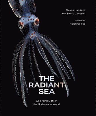 The Radiant Sea 1