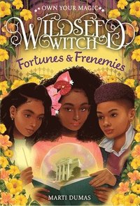bokomslag Fortunes & Frenemies (Wildseed Witch Book 3)