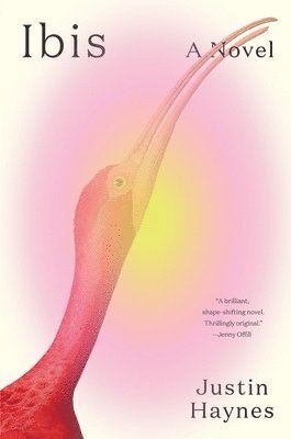 Justin Haynes - Ibis, Inbunden