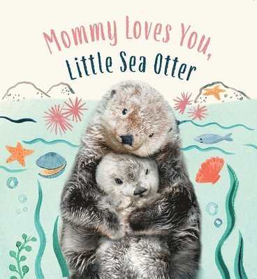 Mommy Loves You, Little Sea Otter 1