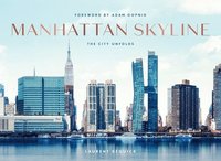 bokomslag Manhattan Skyline