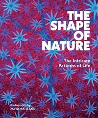 bokomslag Shape of Nature