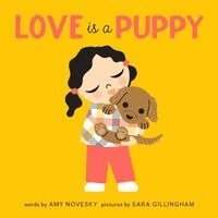 Amy Novesky - Love Is a Puppy, Kartonnage