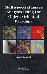 bokomslag Multispectral Image Analysis Using the Object-Oriented Paradigm