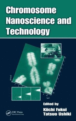 bokomslag Chromosome Nanoscience and Technology