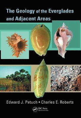 The Geology of the Everglades and Adjacent Areas 1