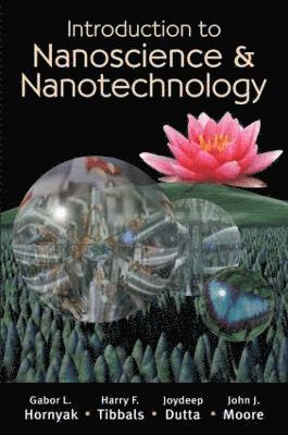 bokomslag Introduction to Nanoscience and Nanotechnology