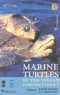 bokomslag Marine Turtles of the Indian Subcontinent