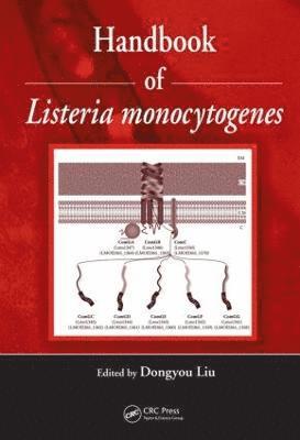Dongyou Liu - Handbook of Listeria Monocytogenes, Inbunden