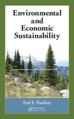 bokomslag Environmental and Economic Sustainability