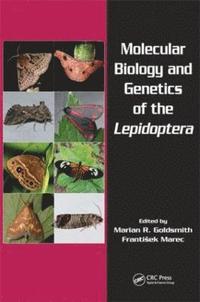 bokomslag Molecular Biology and Genetics of the Lepidoptera