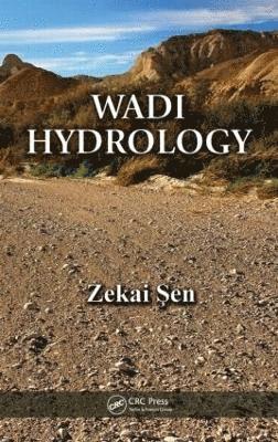 bokomslag Wadi Hydrology