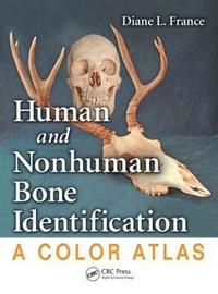 bokomslag Human and Nonhuman Bone Identification