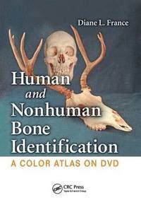 bokomslag Human and Nonhuman Bone Identification