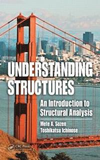 bokomslag Understanding Structures