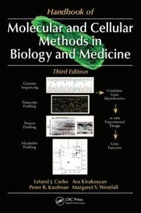 bokomslag Handbook of Molecular and Cellular Methods in Biology and Medicine