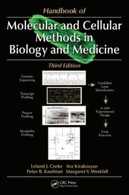 bokomslag Handbook of Molecular and Cellular Methods in Biology and Medicine