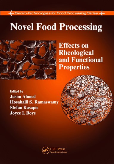 bokomslag Novel Food Processing