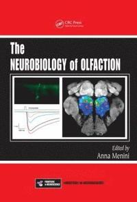 bokomslag The Neurobiology of Olfaction