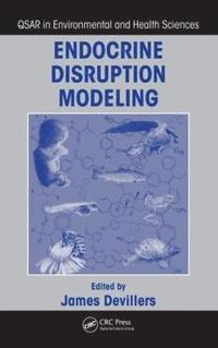 bokomslag Endocrine Disruption Modeling