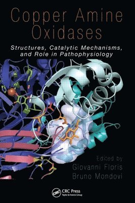 Giovanni Floris, Bruno Mondovi, Italy) Floris, Giovanni (University of Cagliari, Italy) Mondovi, Bruno (University of Rome, La Sapienza - Copper Amine Oxidases, Inbunden