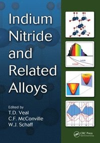 bokomslag Indium Nitride and Related Alloys