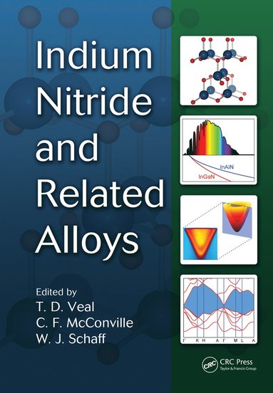 bokomslag Indium Nitride and Related Alloys