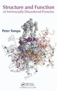 bokomslag Structure and Function of Intrinsically Disordered Proteins