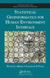 bokomslag Statistical Geoinformatics for Human Environment Interface