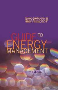 bokomslag Guide to Energy Management