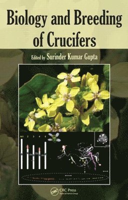 bokomslag Biology and Breeding of Crucifers