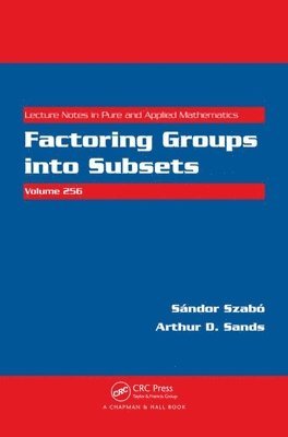 bokomslag Factoring Groups into Subsets
