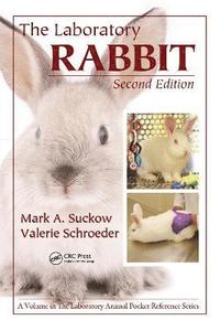 bokomslag The Laboratory Rabbit