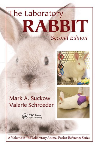 Mark A. Suckow, Valerie Schroeder, Fred A. Douglas - Laboratory Rabbit, Häftad