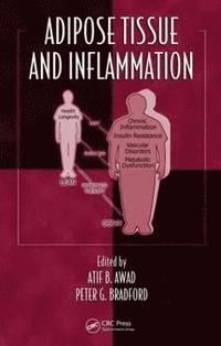 bokomslag Adipose Tissue and Inflammation