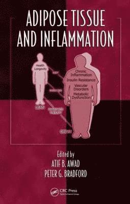 bokomslag Adipose Tissue and Inflammation