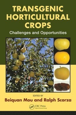 Transgenic Horticultural Crops 1