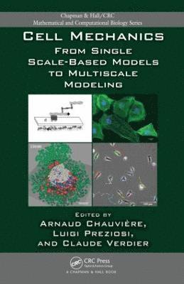 Cell Mechanics