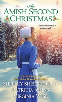 bokomslag Amish Second Christmas
