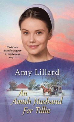 bokomslag An Amish Husband for Tillie