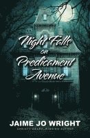 Night Falls on Predicament Avenue 1