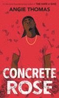 bokomslag Concrete Rose