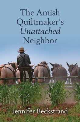 bokomslag The Amish Quiltmaker's Unattached Neighbor