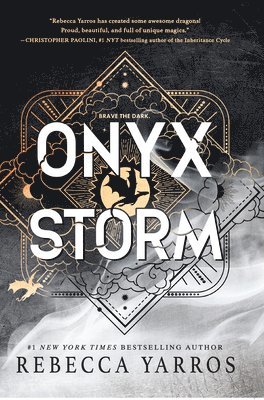 bokomslag Onyx Storm