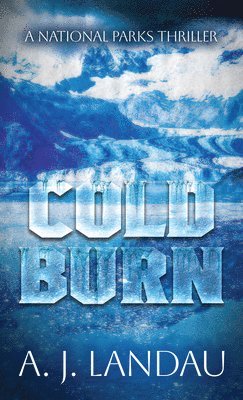 A. J. Landau - Cold Burn, Inbunden