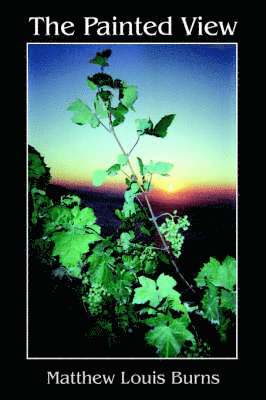 Matthew  Louis Burns, Matthew Louis Burns - Painted View, Häftad