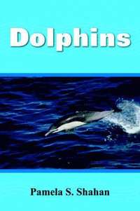 bokomslag Dolphins