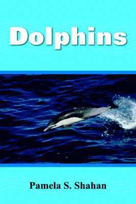 Dolphins 1